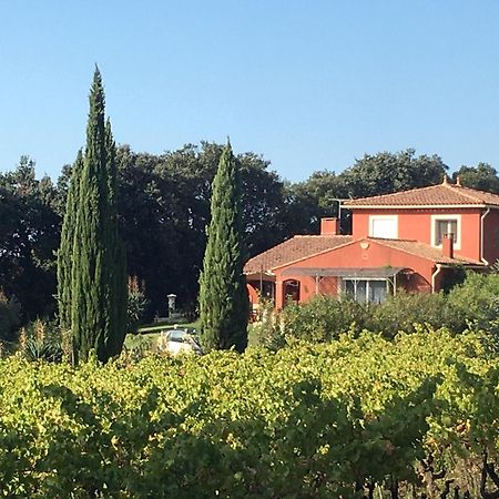 Domaine Des Lavarines Morieres-les-Avignon Exteriör bild